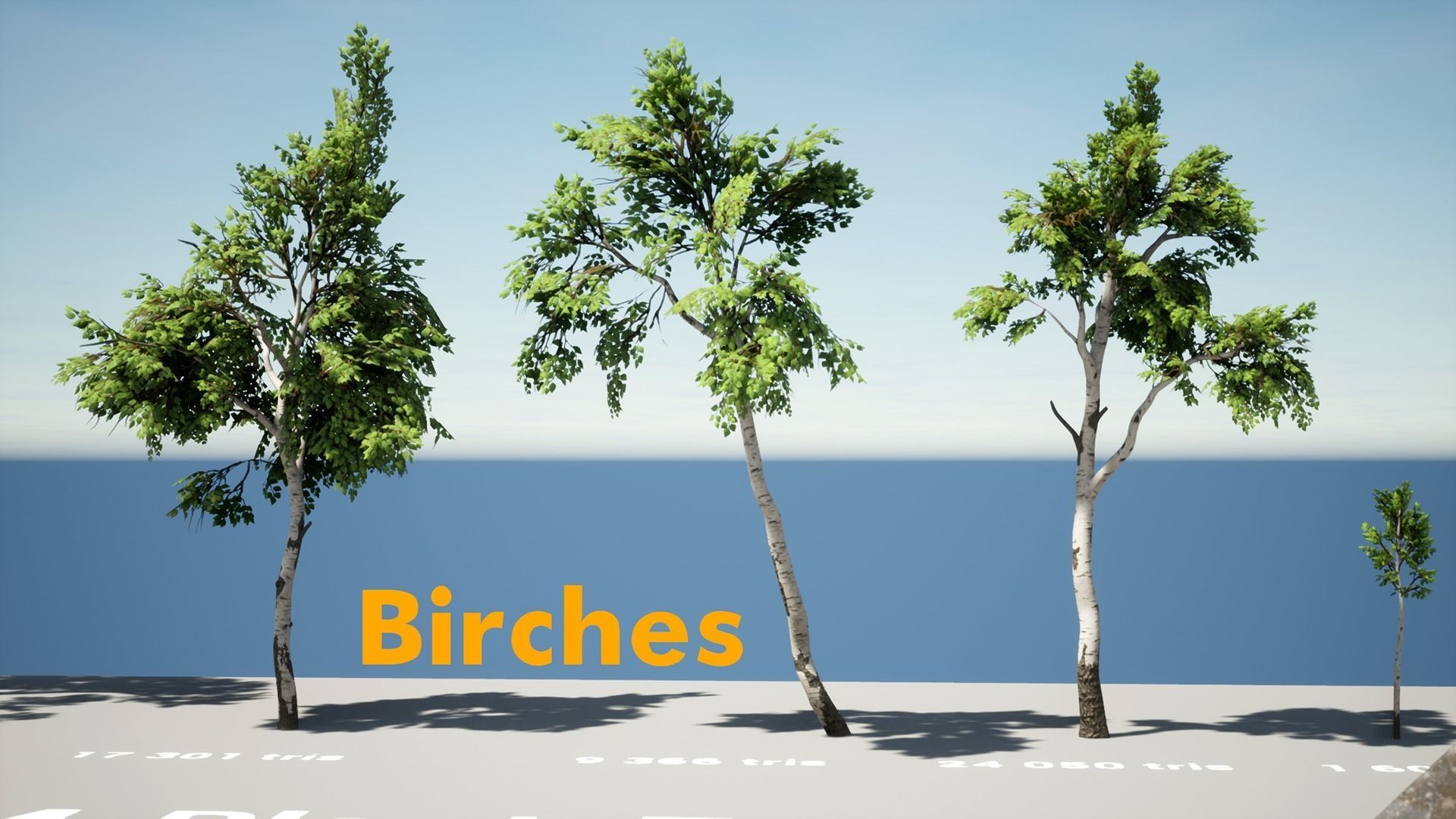 Forest Pack Low-poly 3D model_8