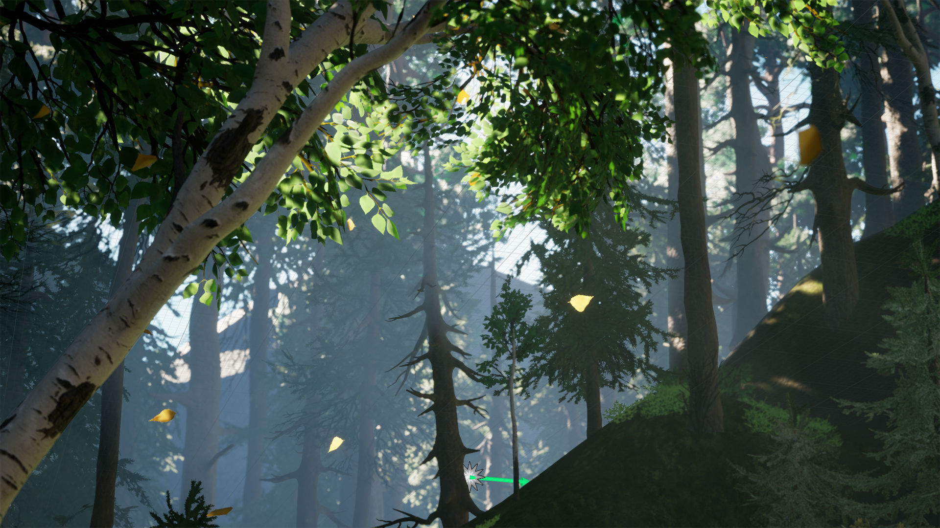 Forest Pack Low-poly 3D model_28