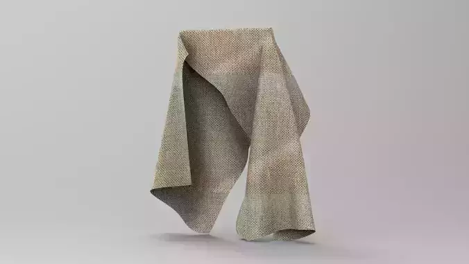 Cloth FBX 668