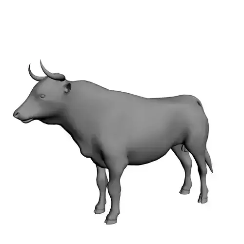 Bull Mesh