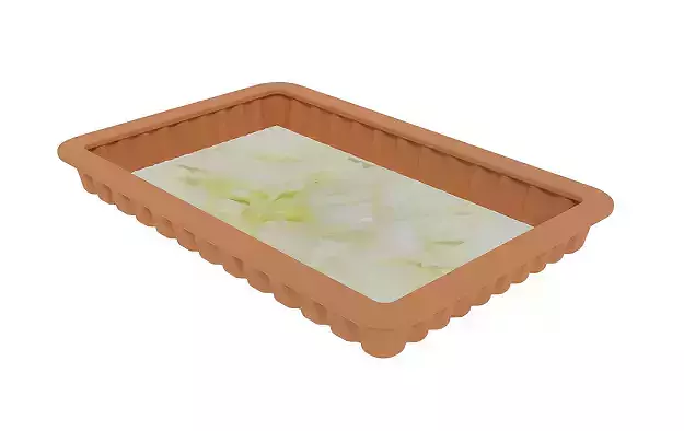 Spectacular Plate 3D model