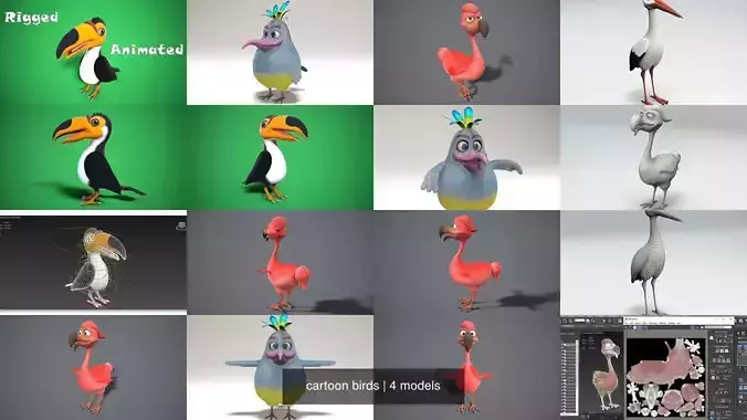 cartoon birds 3D Model Collection