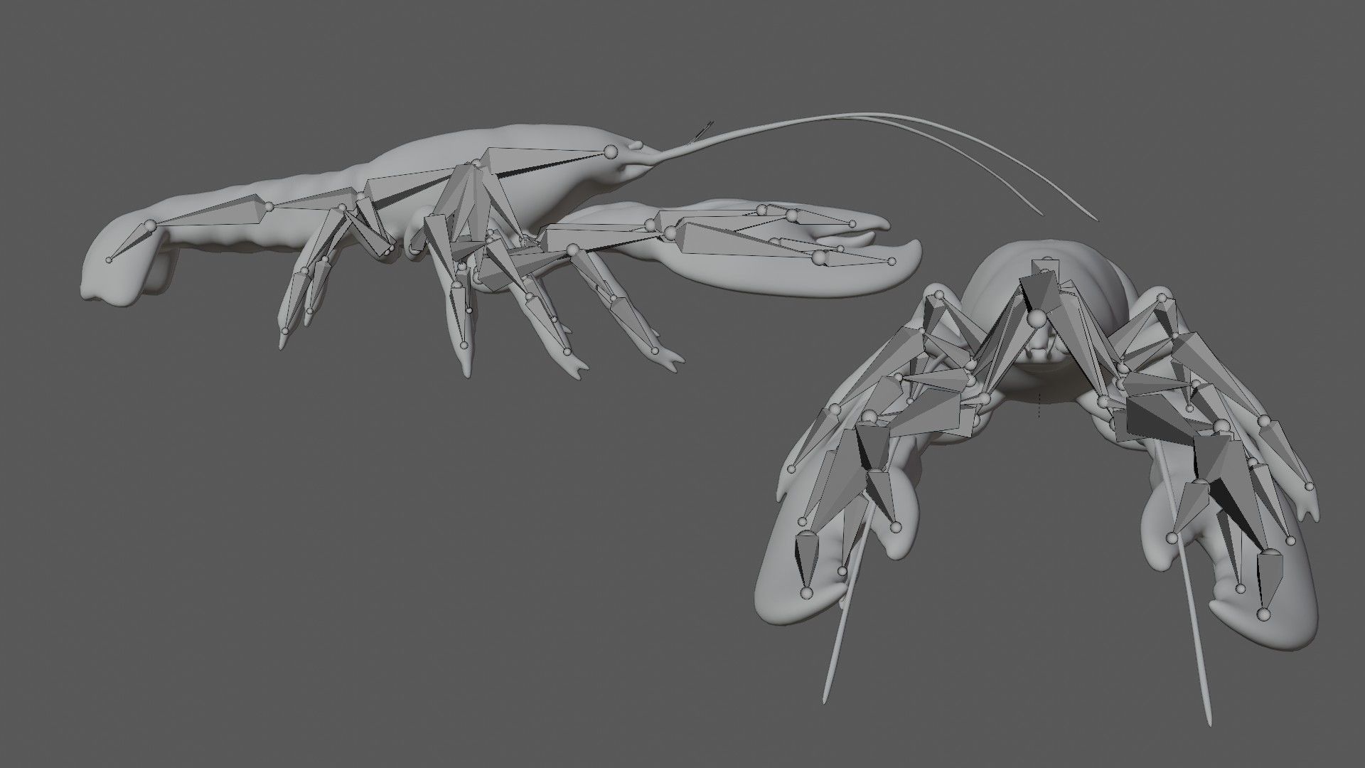 Lobstet lobster Low-poly 3D model_7