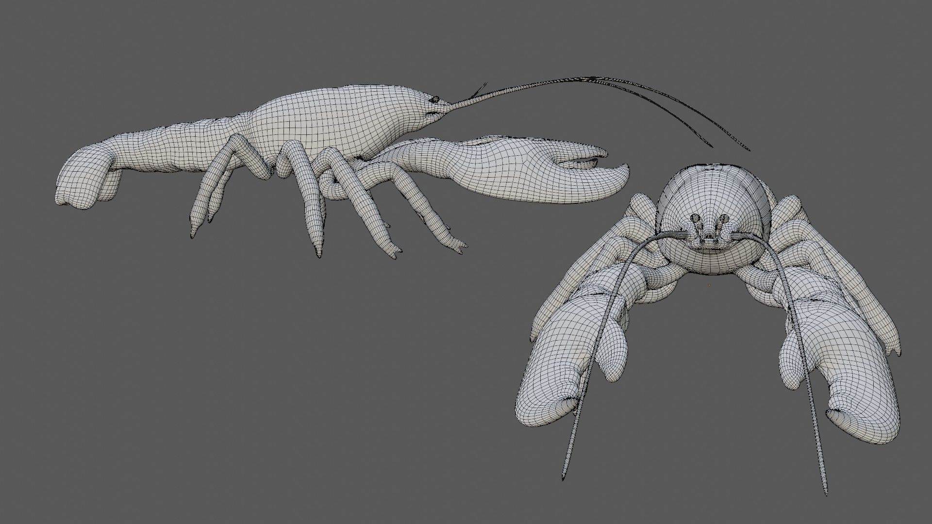 Lobstet lobster Low-poly 3D model_8