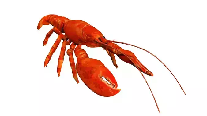 Lobstet lobster Low-poly 3D model