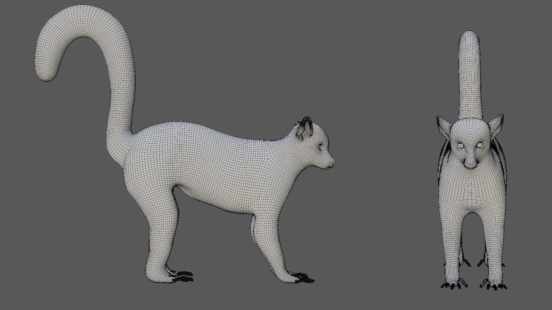 Lemur ring tailed Low-poly 3D model_8
