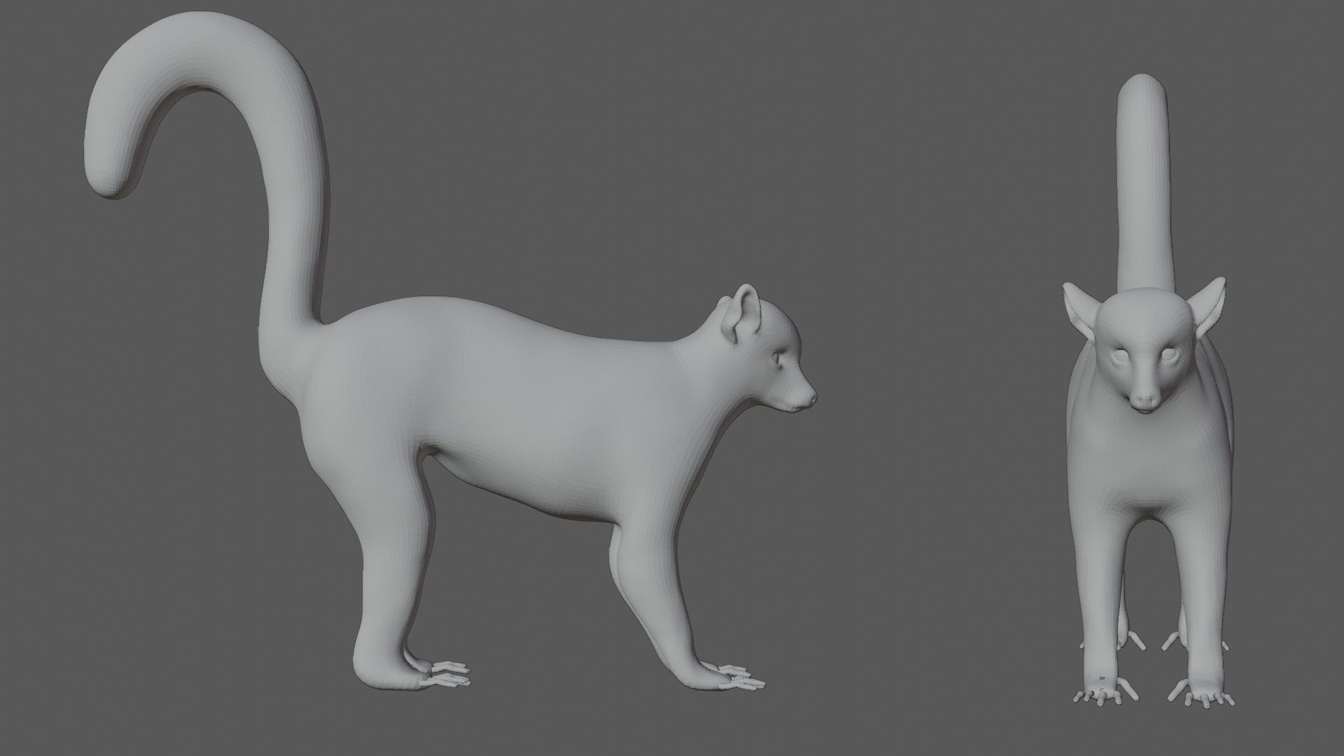 Lemur ring tailed Low-poly 3D model_6