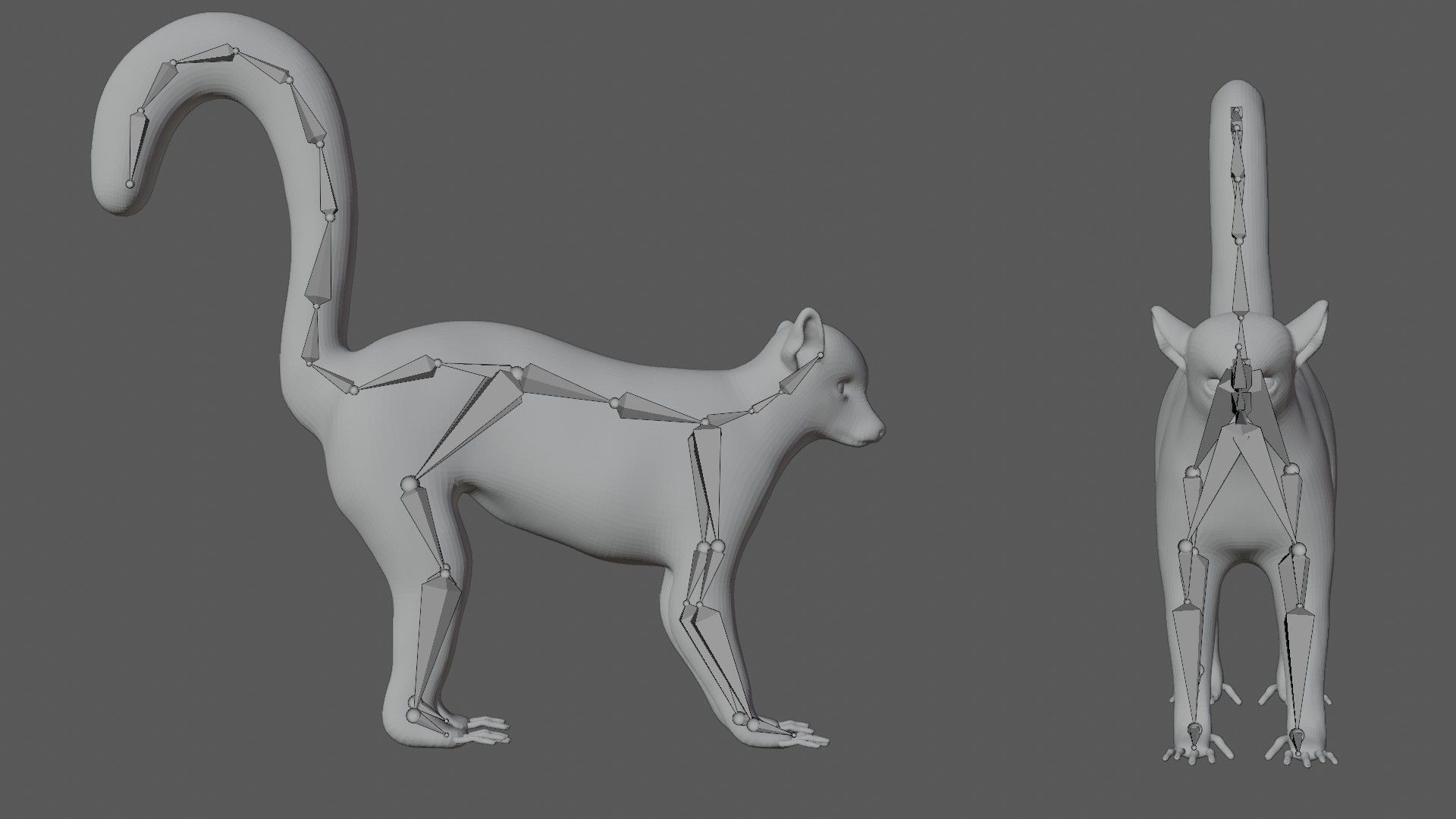 Lemur ring tailed Low-poly 3D model_7