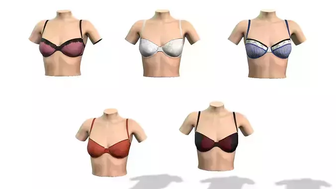 5 in 1 collection bra on mannequin