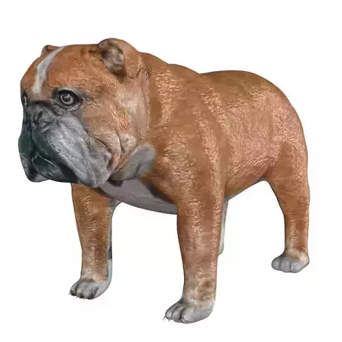 Bulldog dog statue