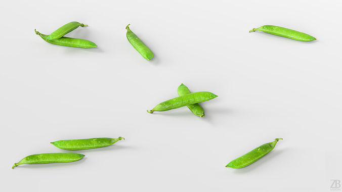 Pea pod 3D model 3