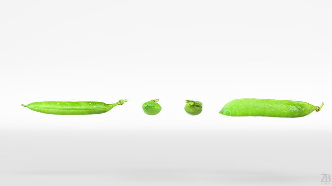 Pea pod 3D model 5