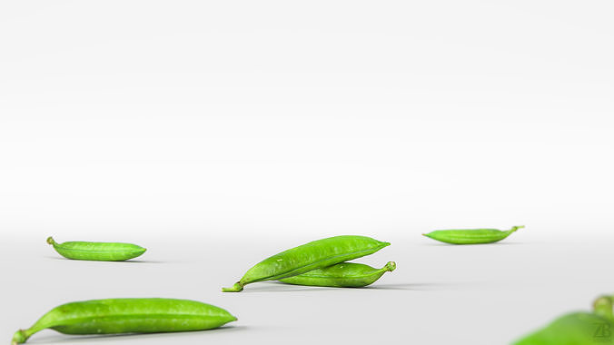 Pea pod 3D model 2