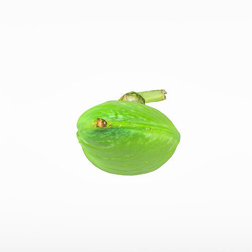 Pea pod 3D model 7