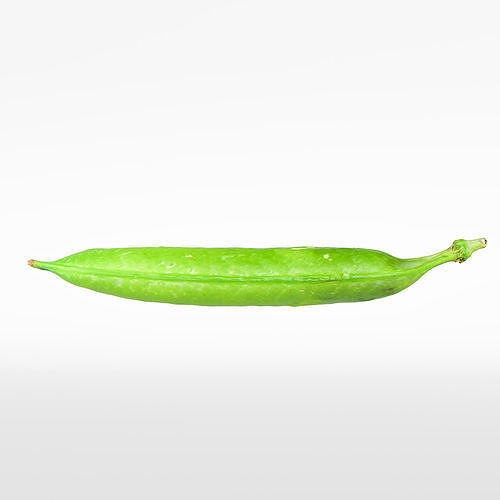 Pea pod 3D model 6