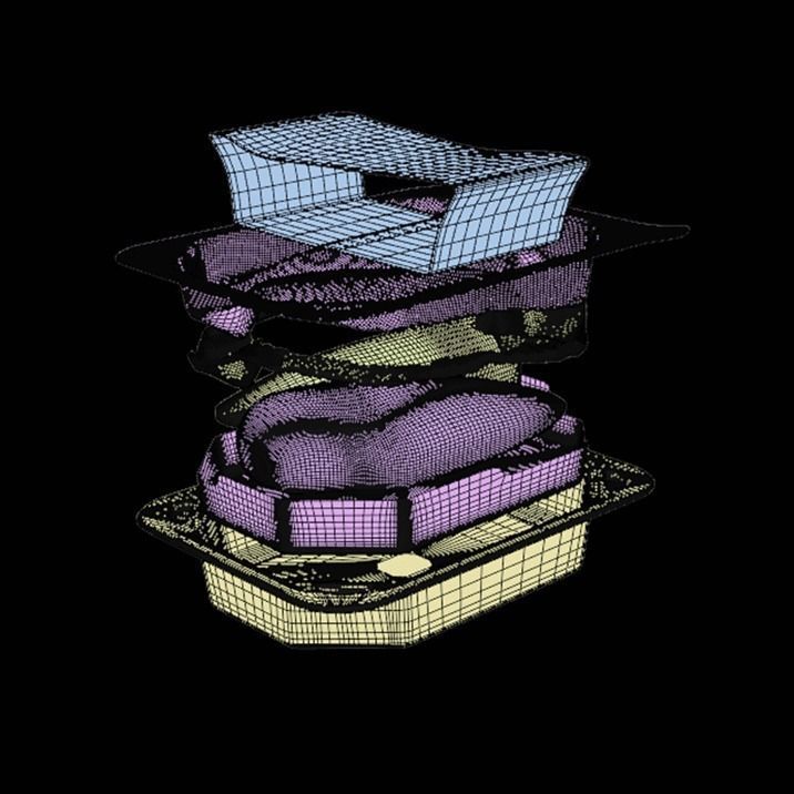 Chicken in tray skin 3D model_11