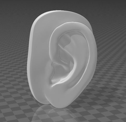 Ear of David 3D print model_1