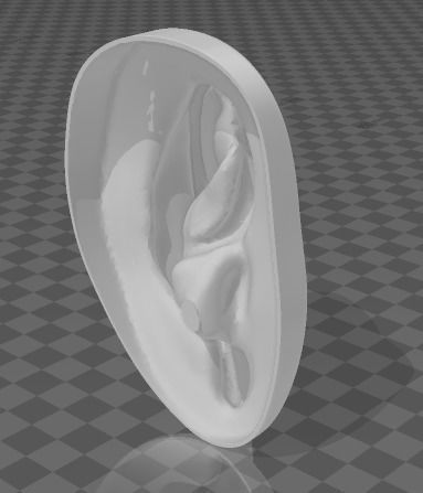 Ear of David 3D print model_2