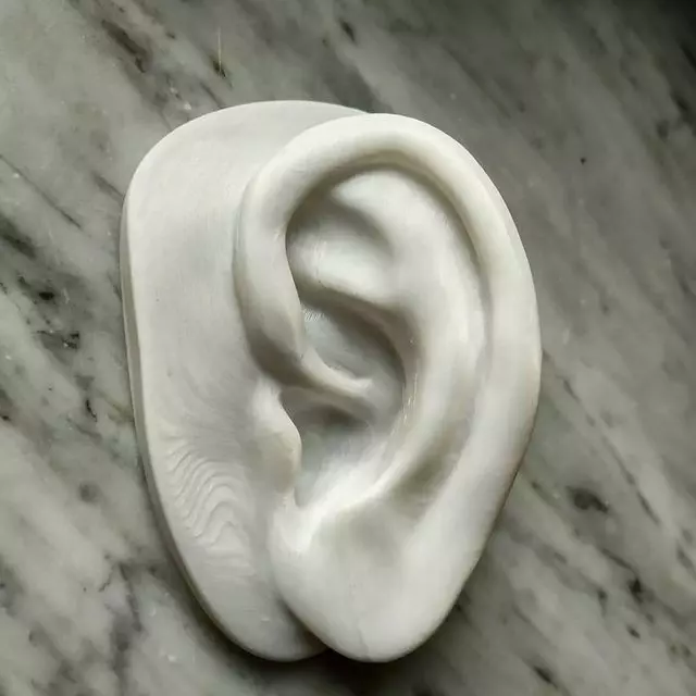Ear of David 3D print model_0