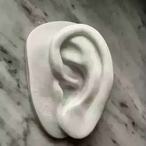 Ear of David 3D print model