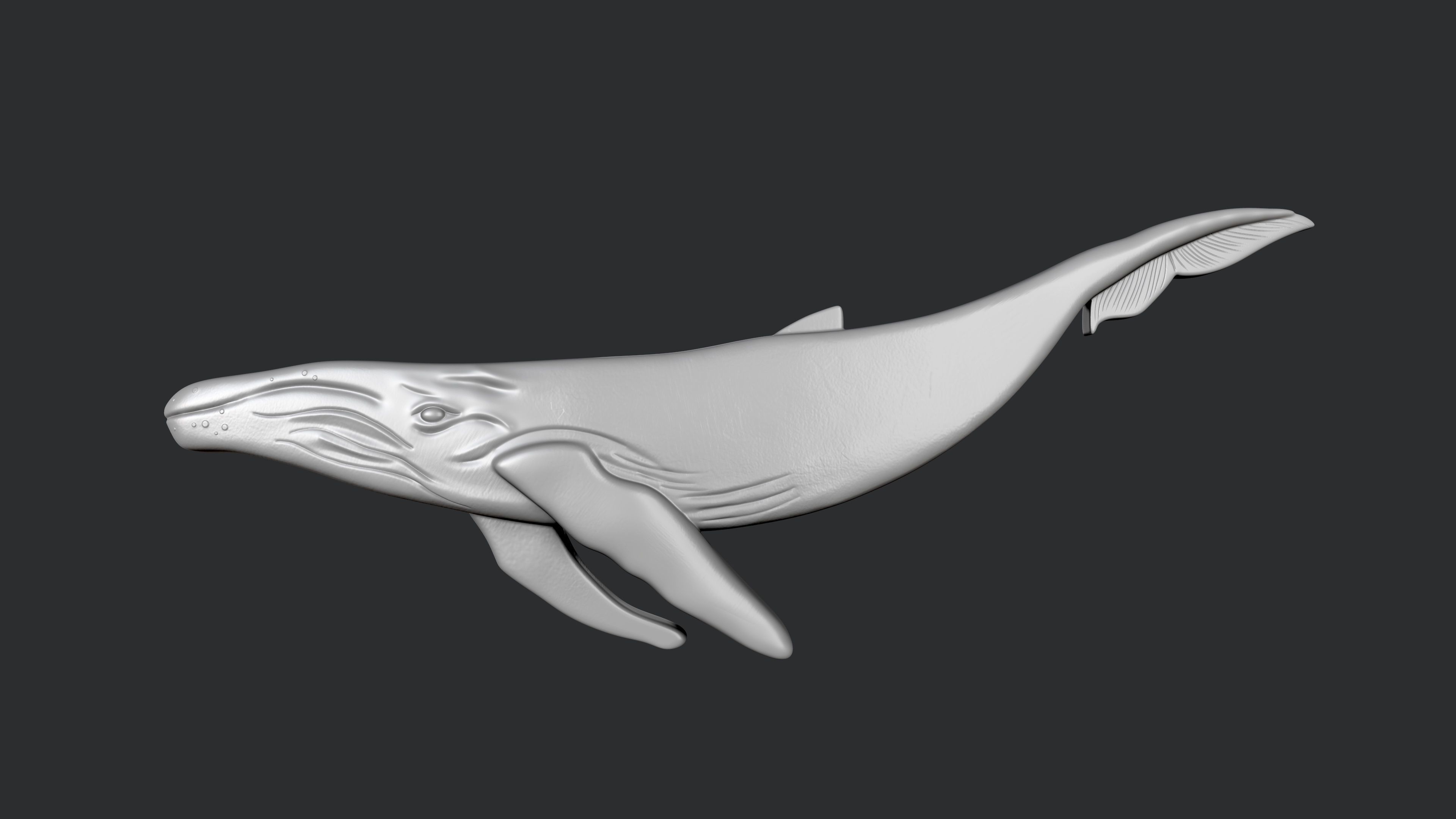 STL models for 3D printing and CNC Set of Sea Life 8 stl file 3D print model_3