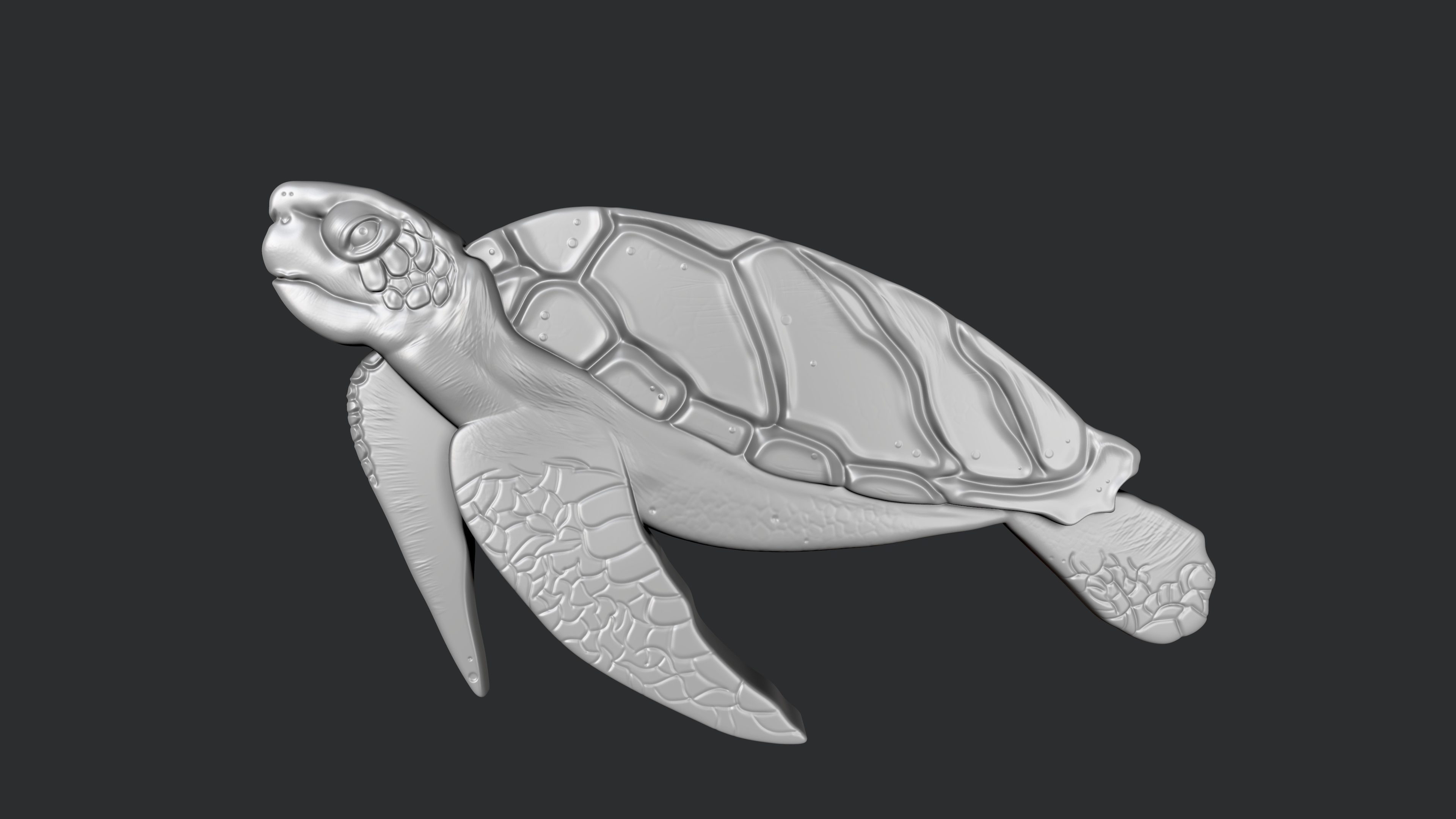 STL models for 3D printing and CNC Set of Sea Life 8 stl file 3D print model_4