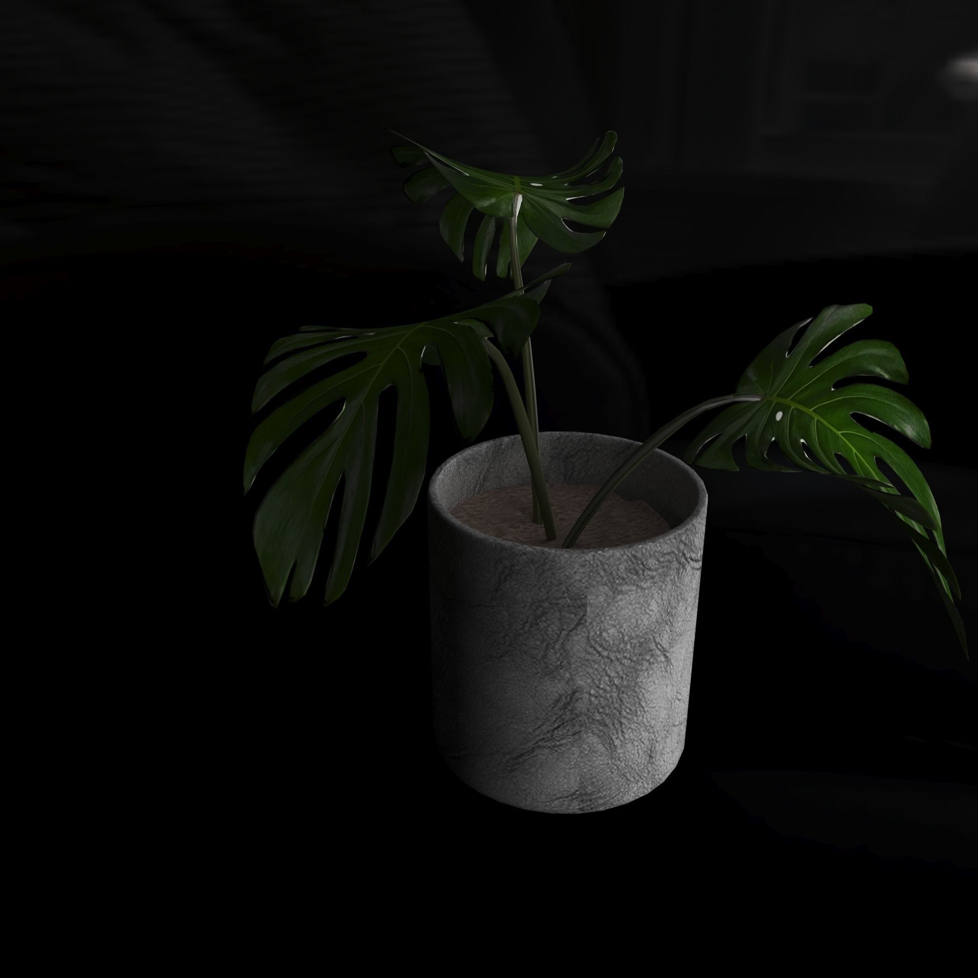3d model Manstera plant in concrete pot 3D model_6