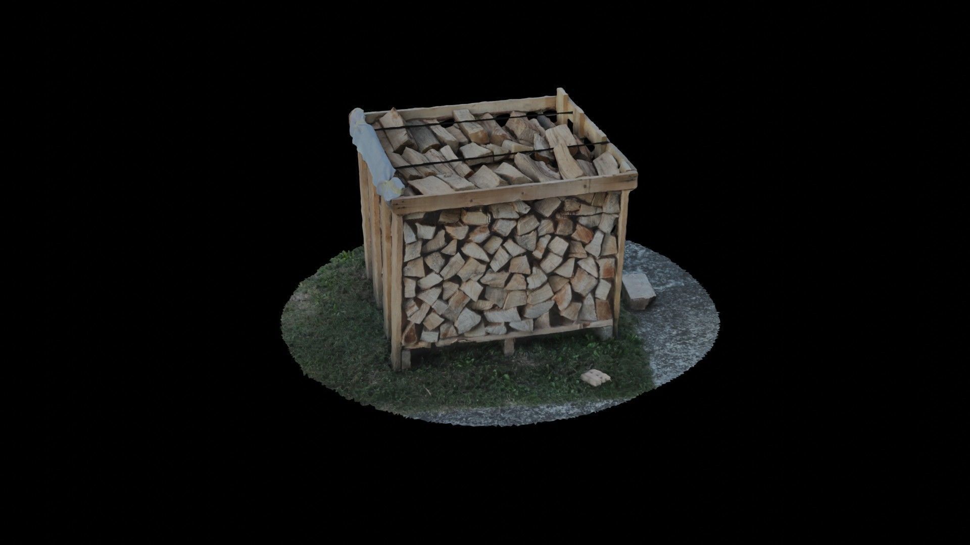 Wood Heap - Scanned 3D model_54