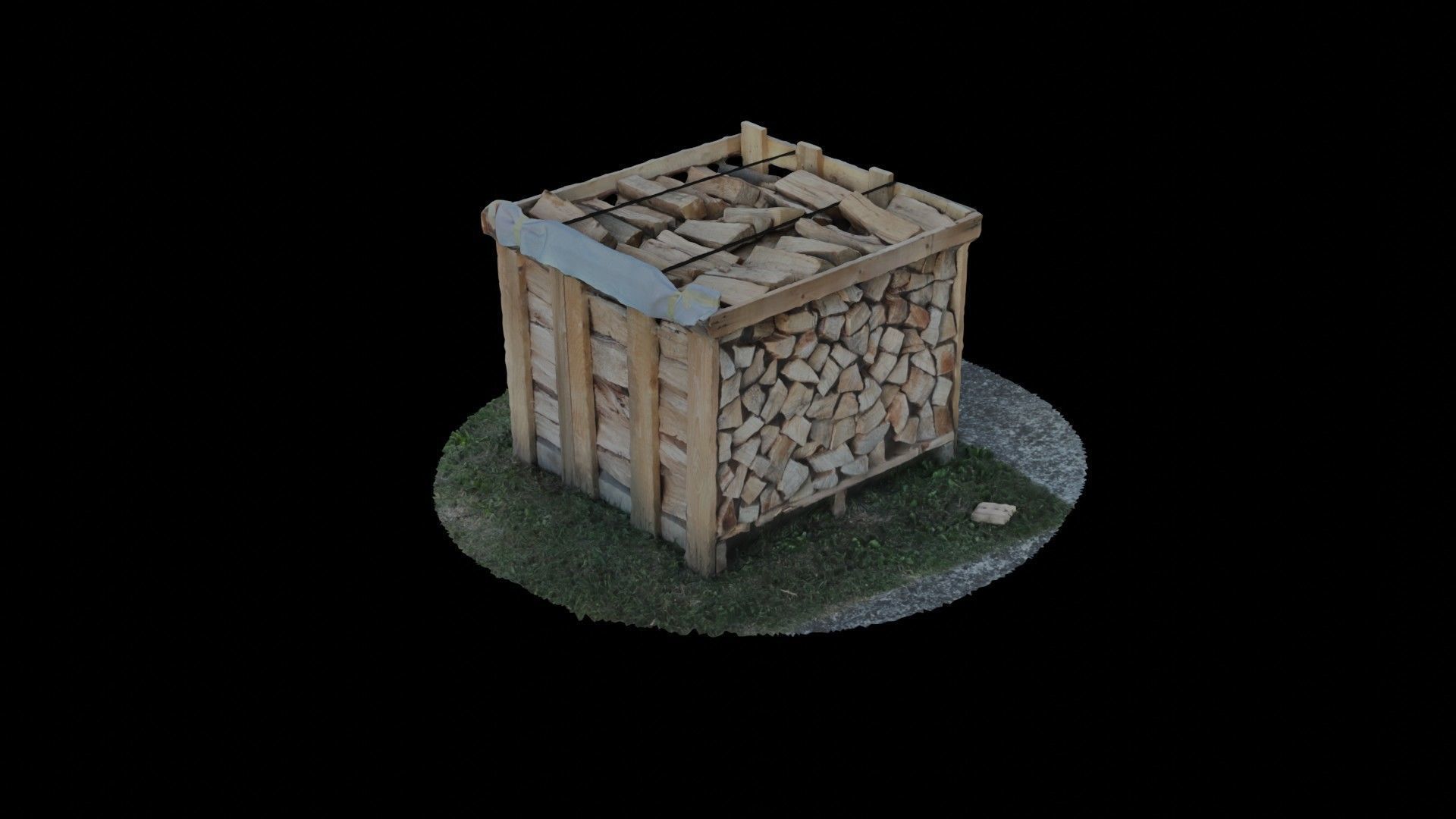 Wood Heap - Scanned 3D model_69