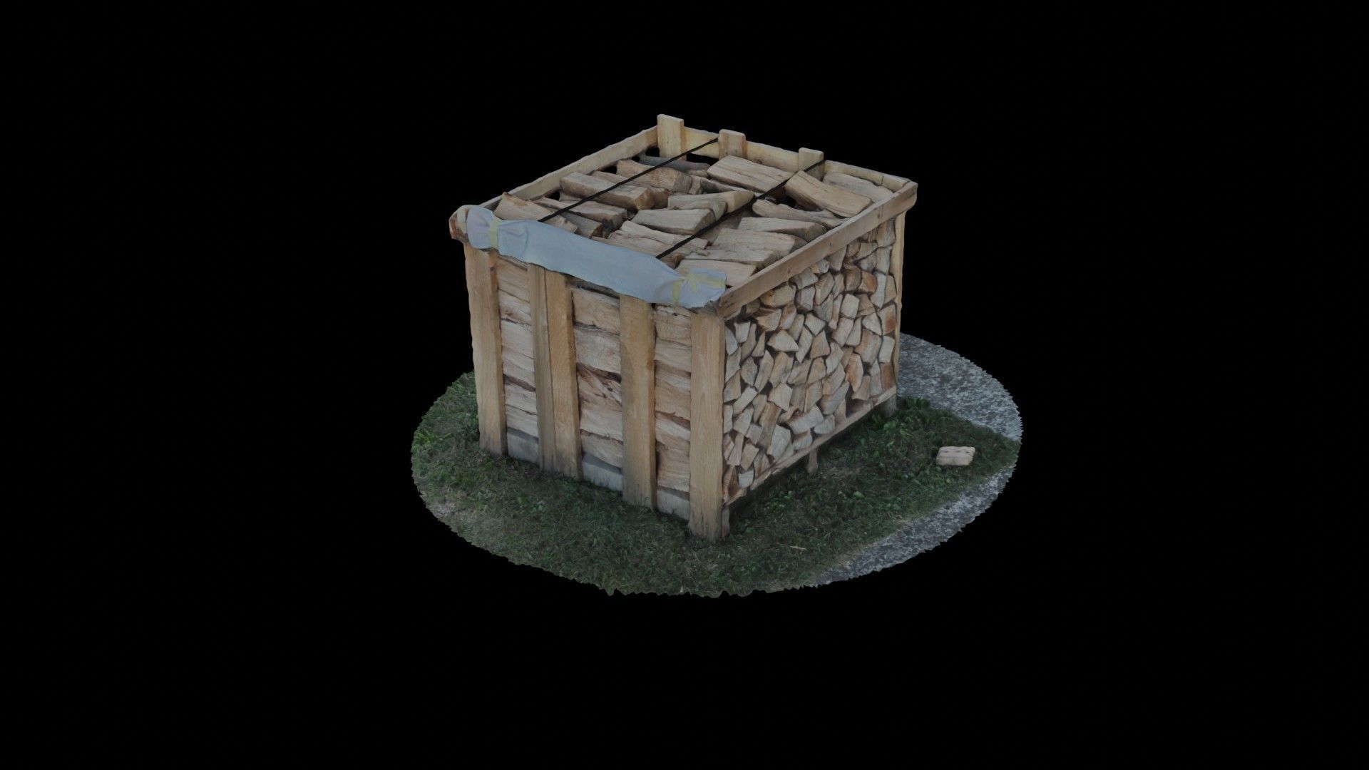 Wood Heap - Scanned 3D model_86