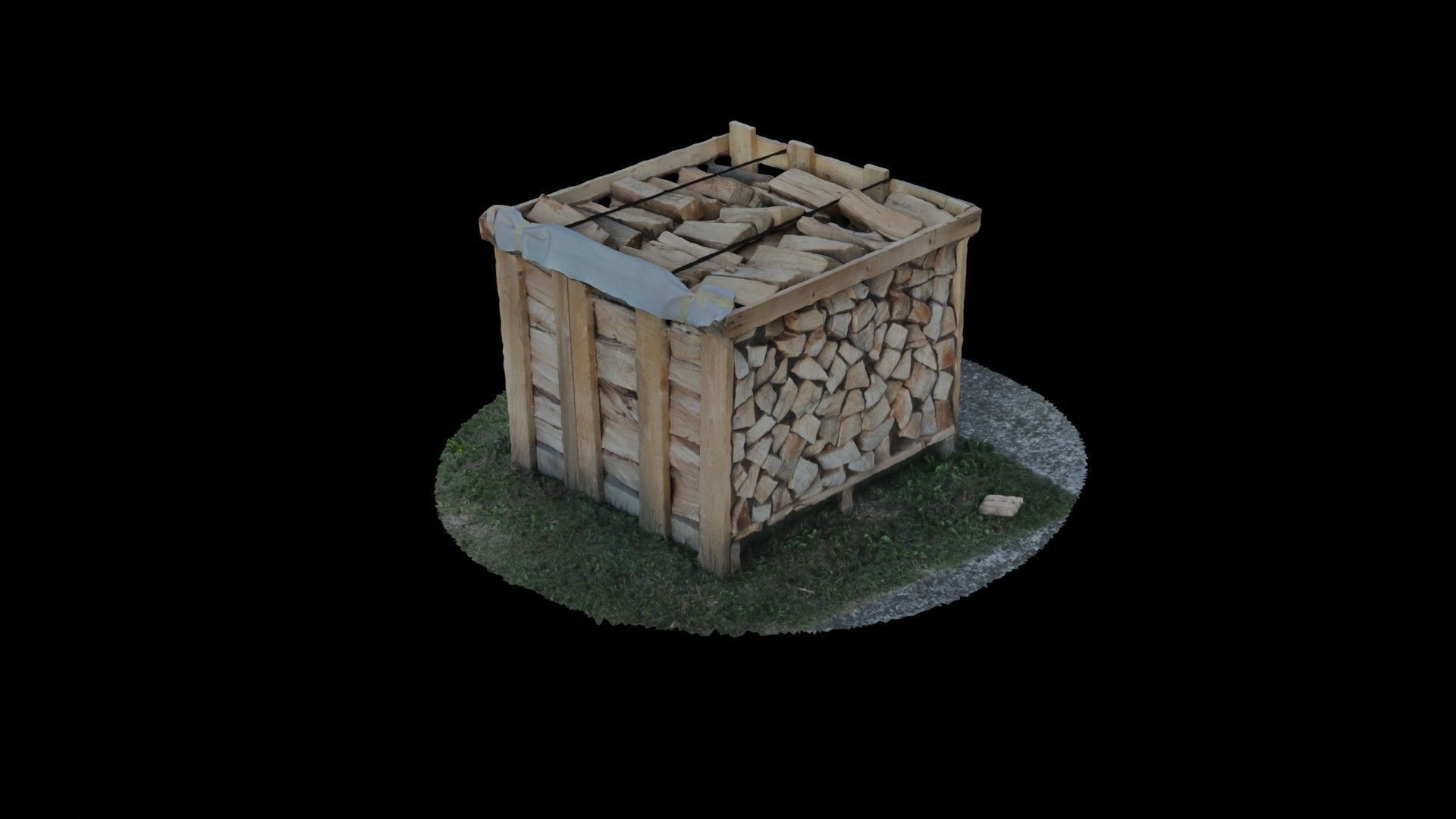 Wood Heap - Scanned 3D model_75