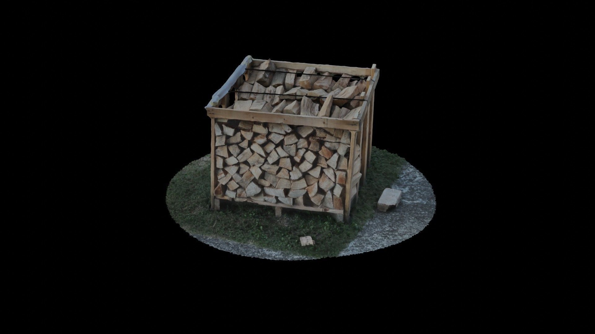 Wood Heap - Scanned 3D model_28