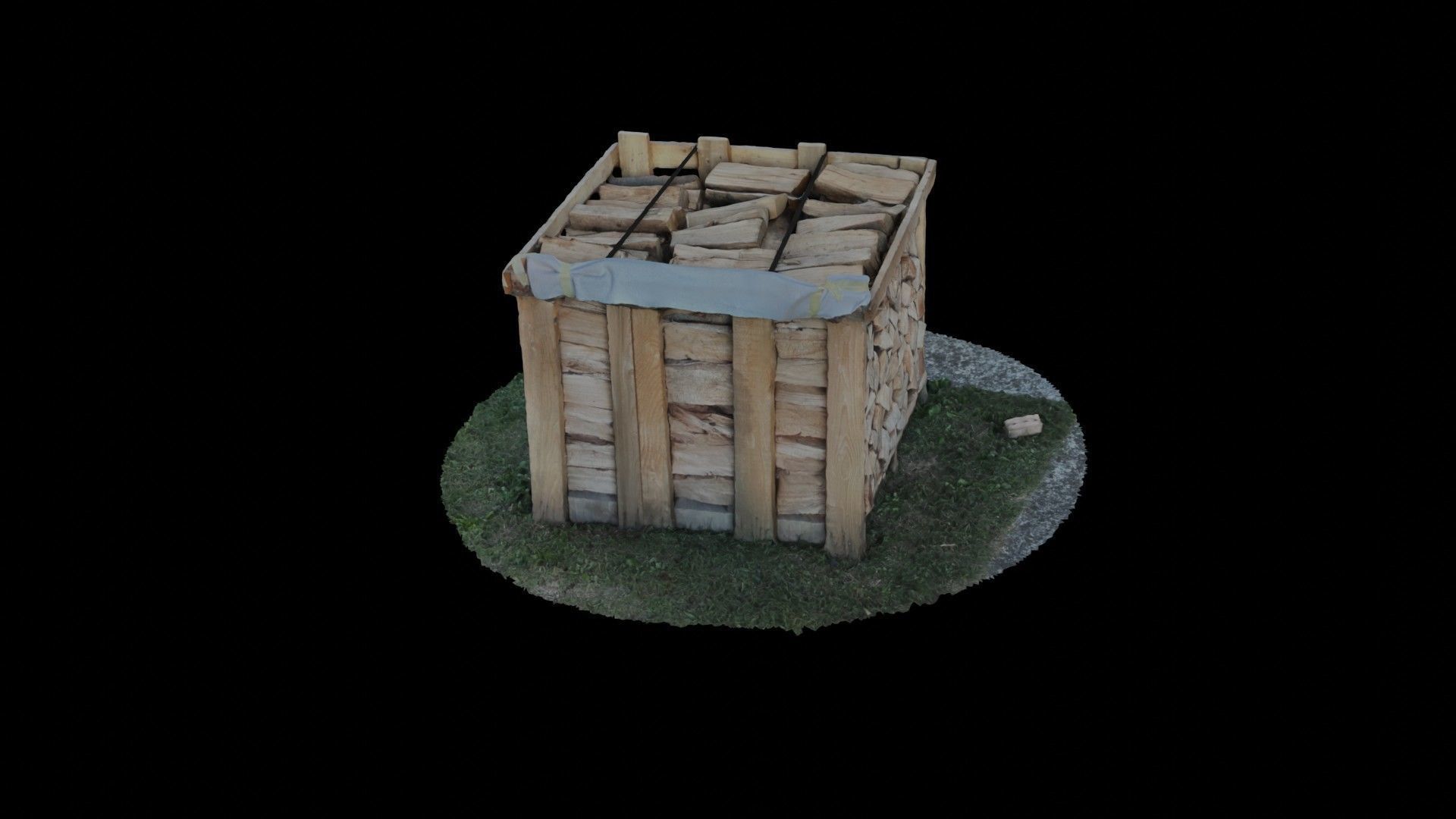 Wood Heap - Scanned 3D model_93