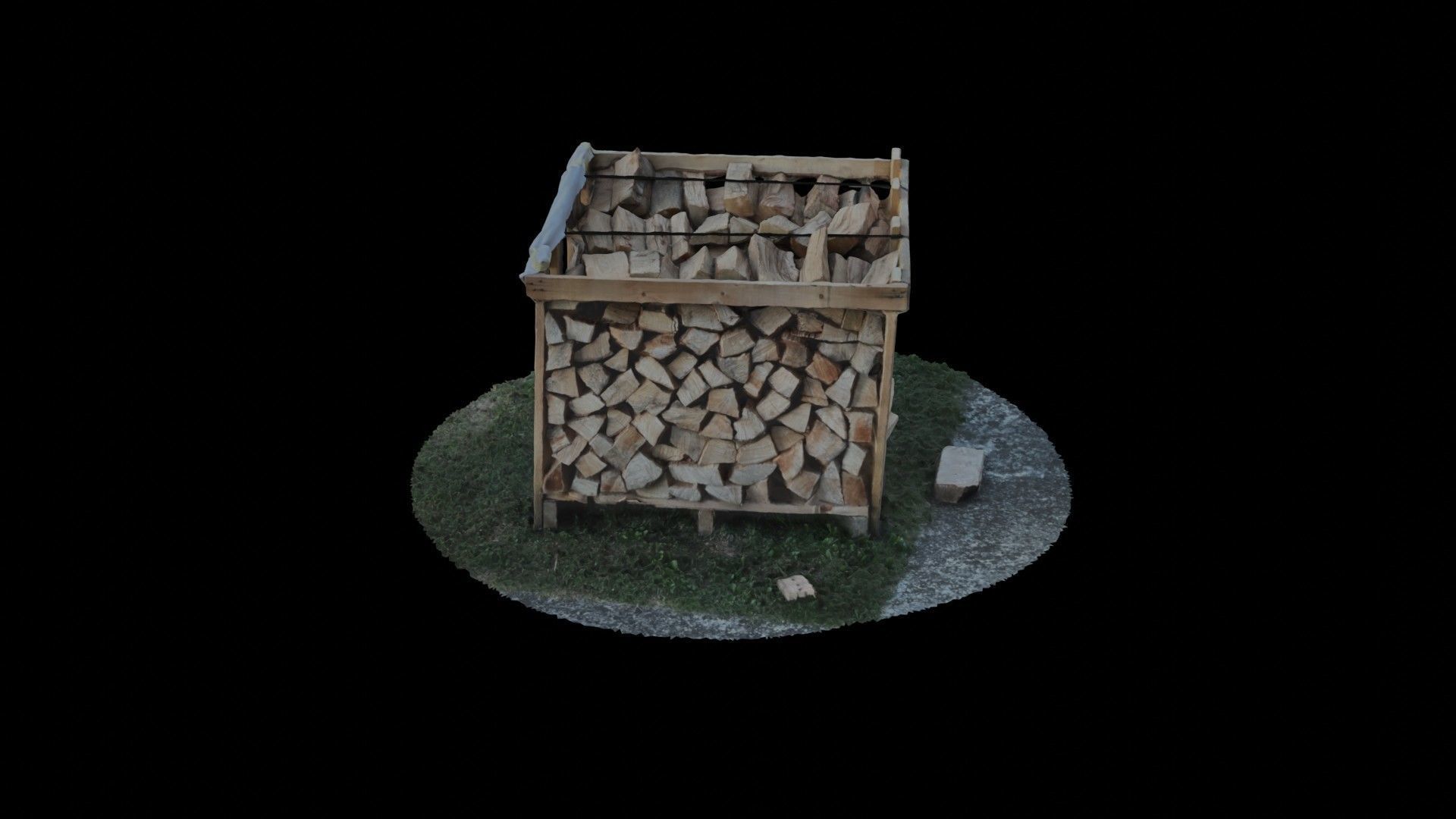 Wood Heap - Scanned 3D model_38