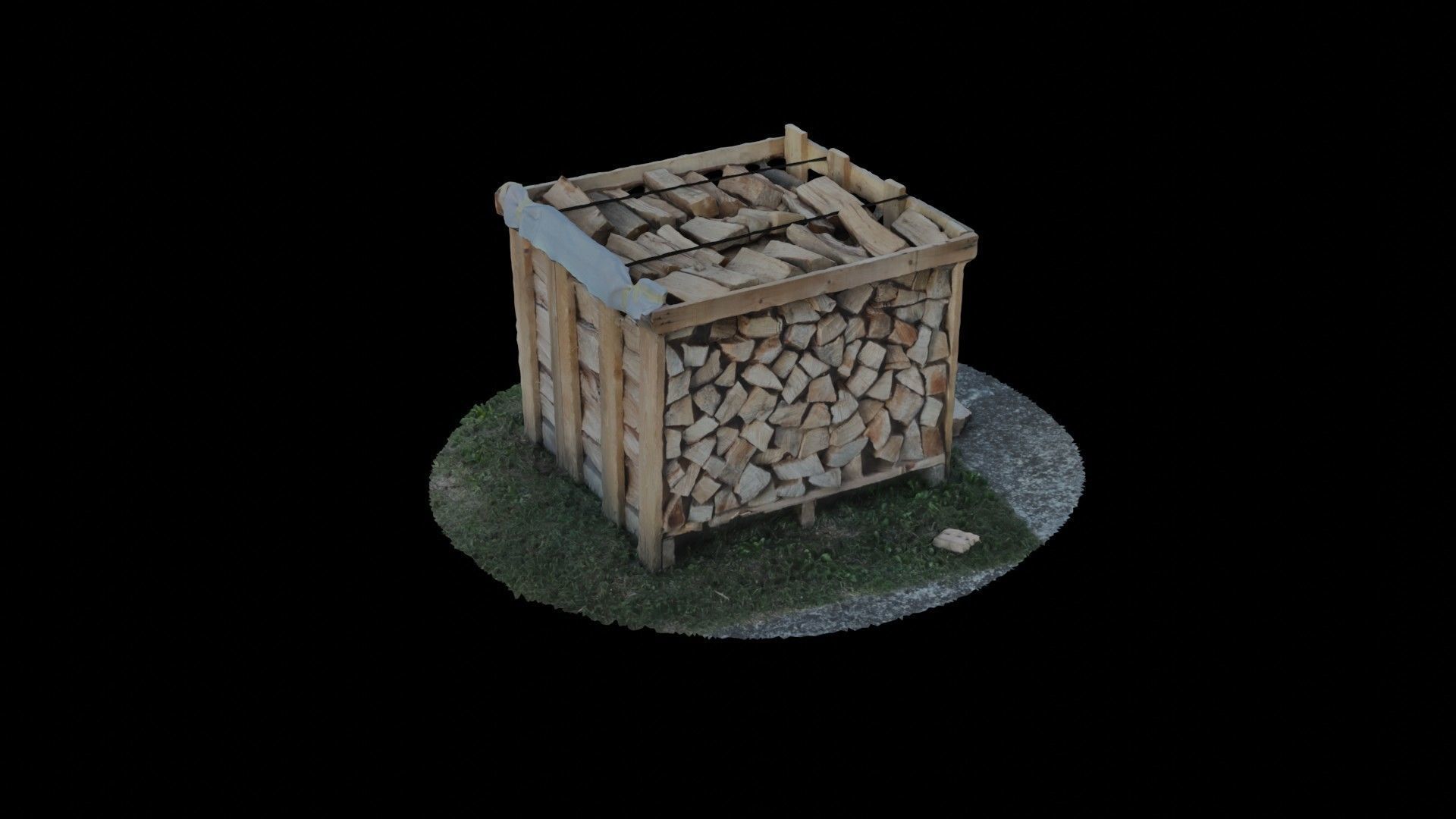 Wood Heap - Scanned 3D model_66
