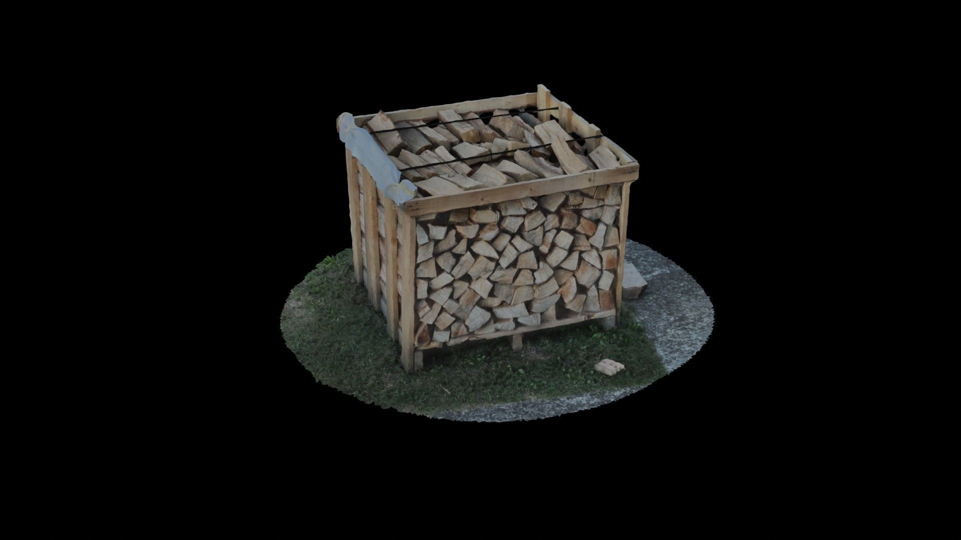 Wood Heap - Scanned 3D model_73