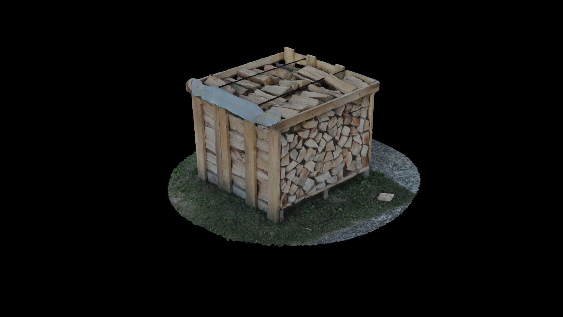 Wood Heap - Scanned 3D model_74