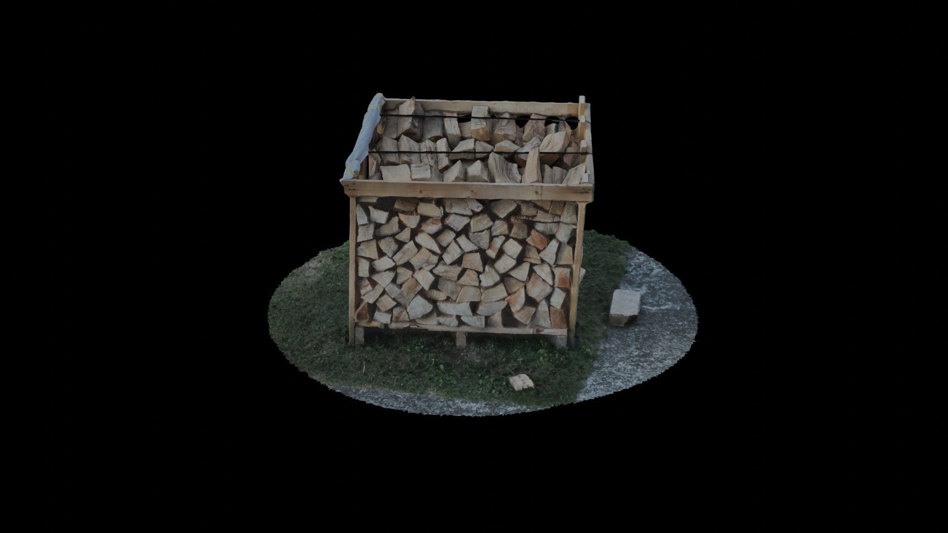 Wood Heap - Scanned 3D model_39