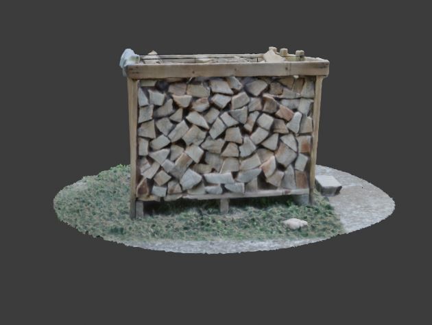 Wood Heap - Scanned 3D model_6