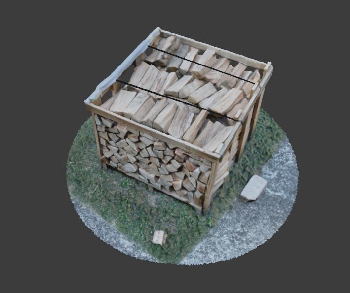 Wood Heap - Scanned 3D model_7