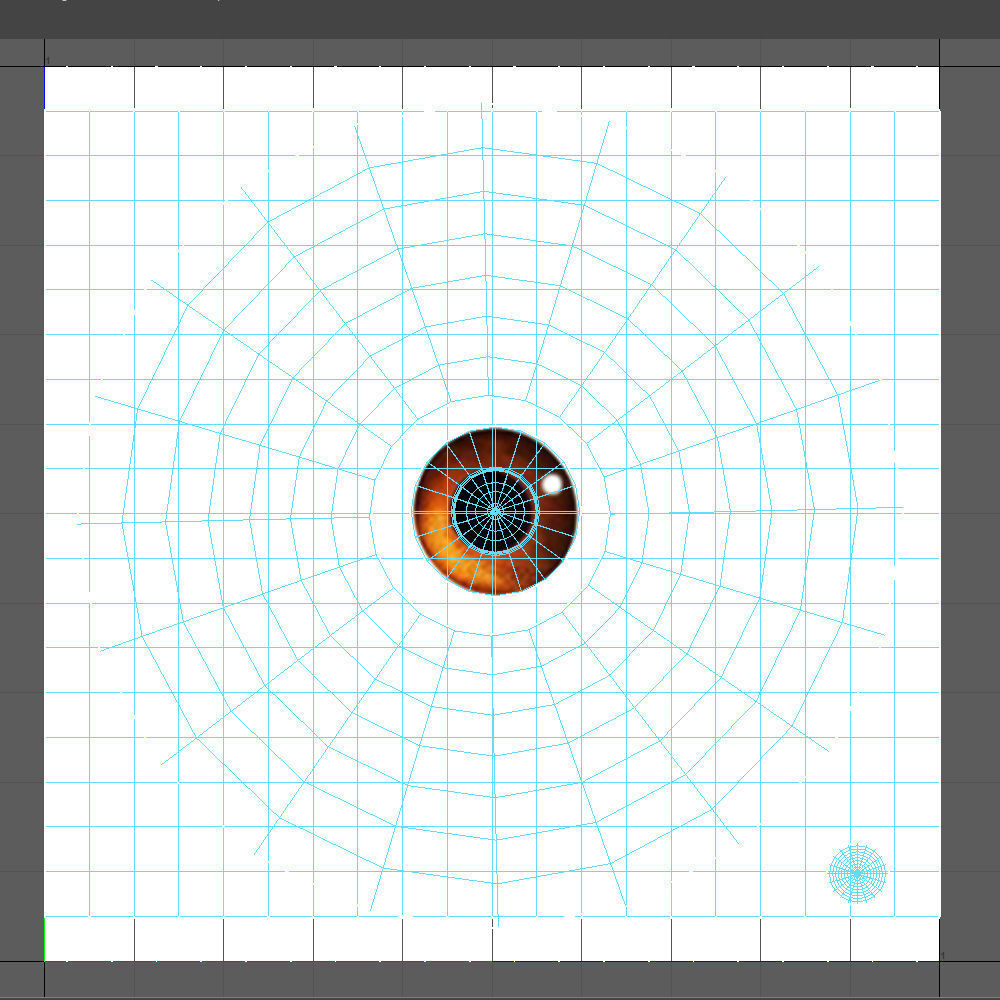 Turtle Cartoon 3D model_22