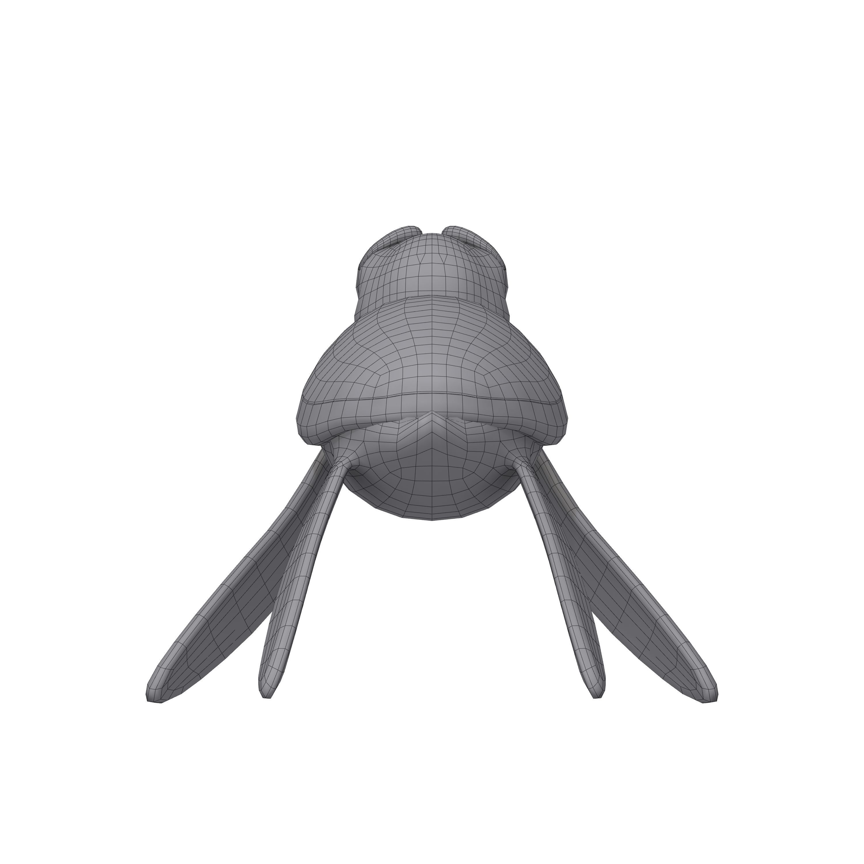 Turtle Cartoon 3D model_8