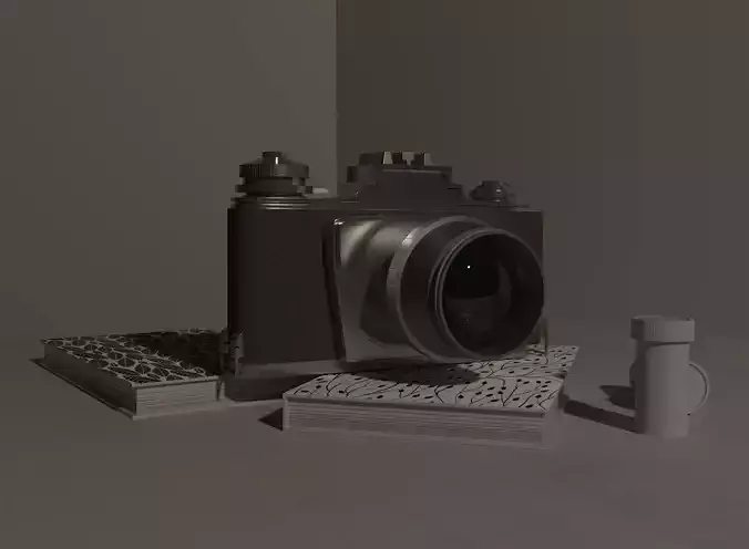 camera stylized
