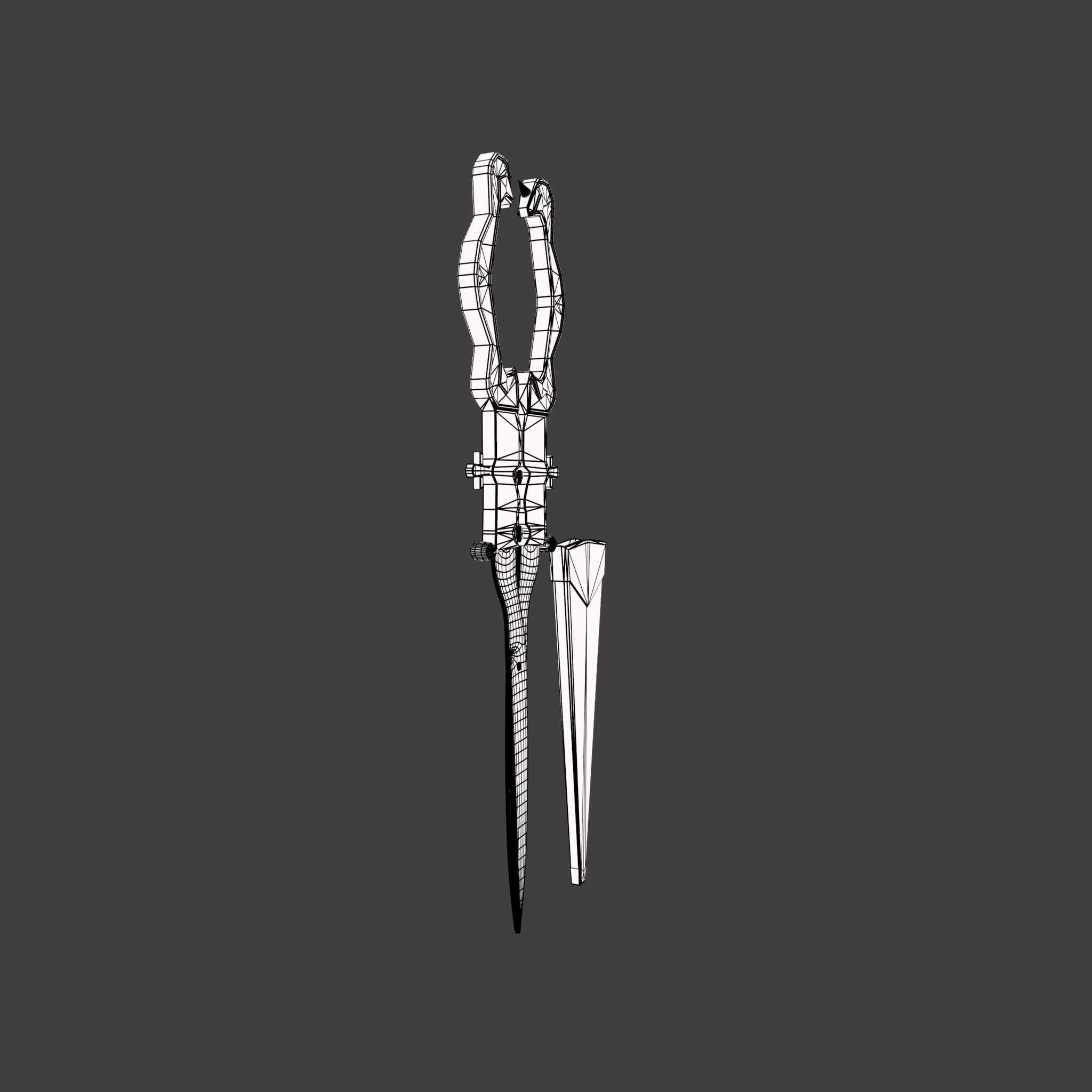 Medieval Fancy Scissors Free 3D model_30