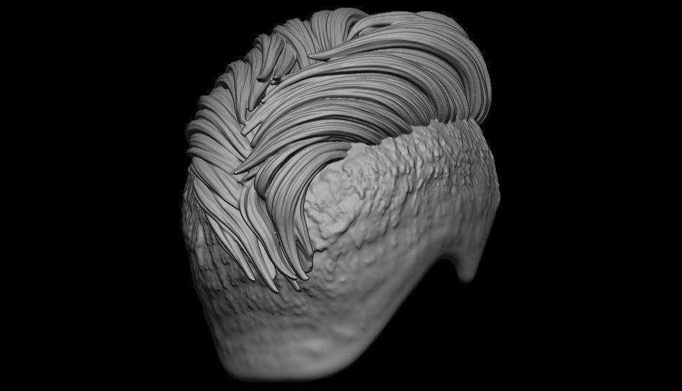 hair 14 3D print model_5