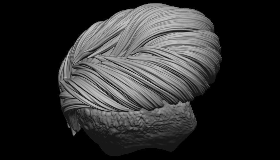 hair 14 3D print model_12