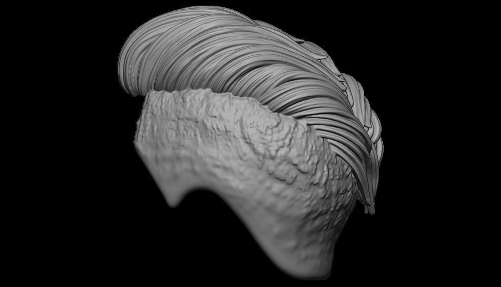 hair 14 3D print model_1