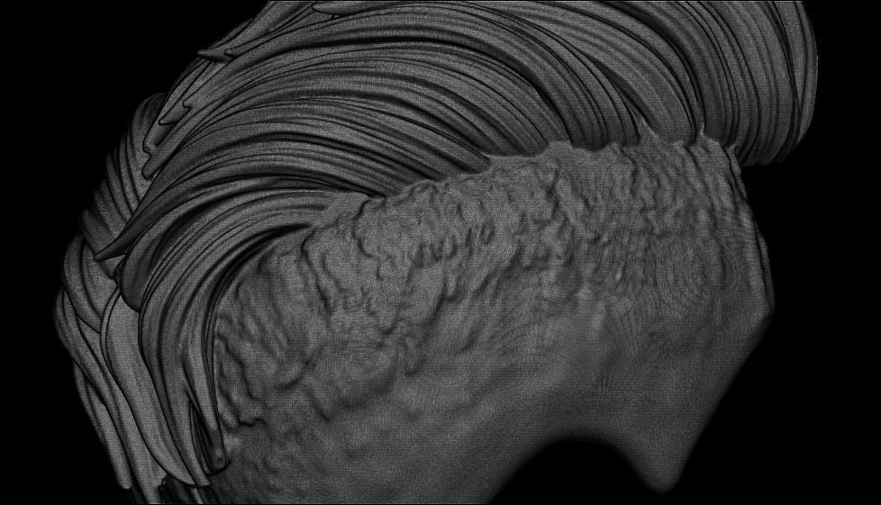 hair 14 3D print model_13