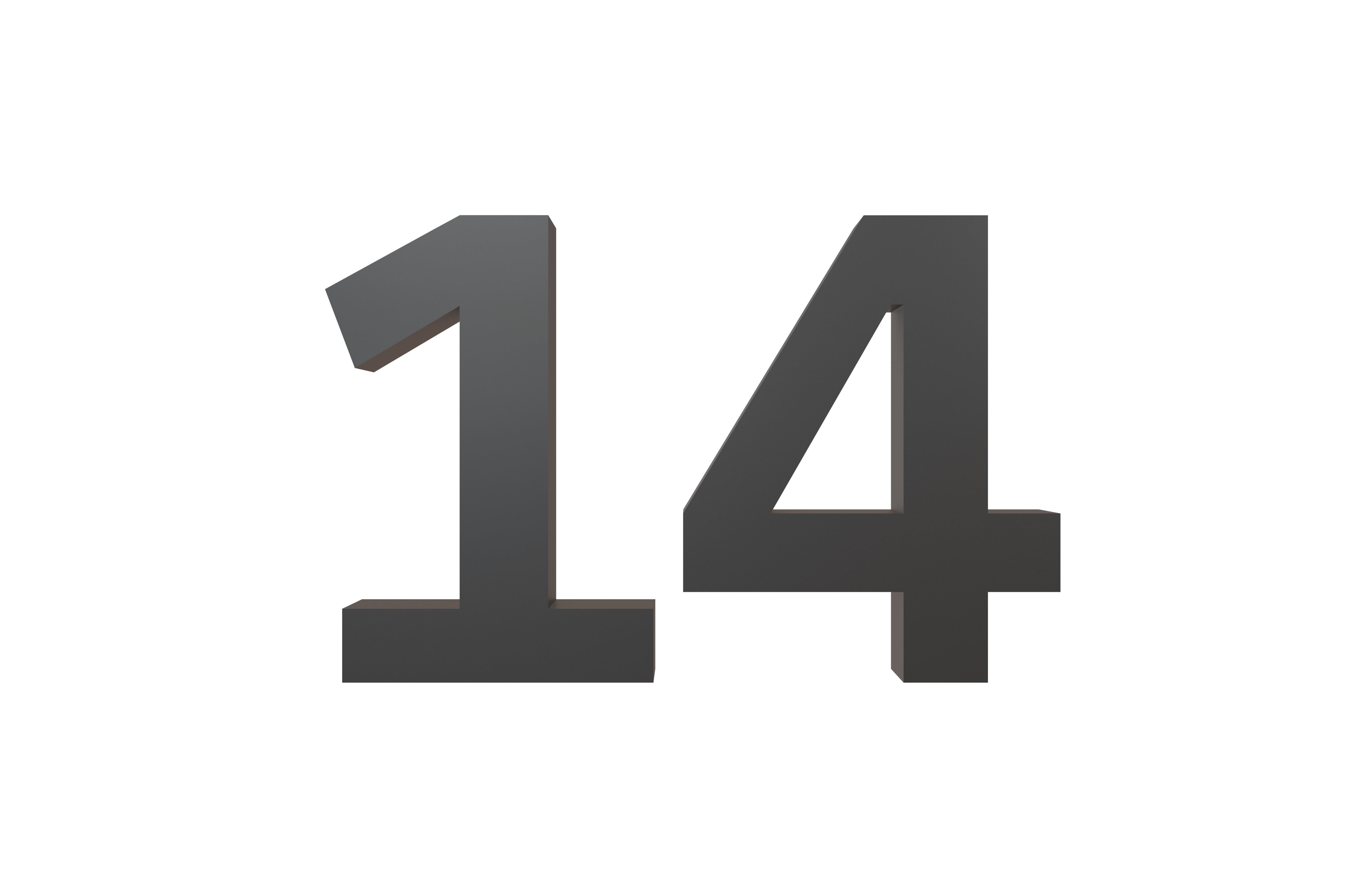 Date Number 14 v1 001 Low-poly 3D model_1