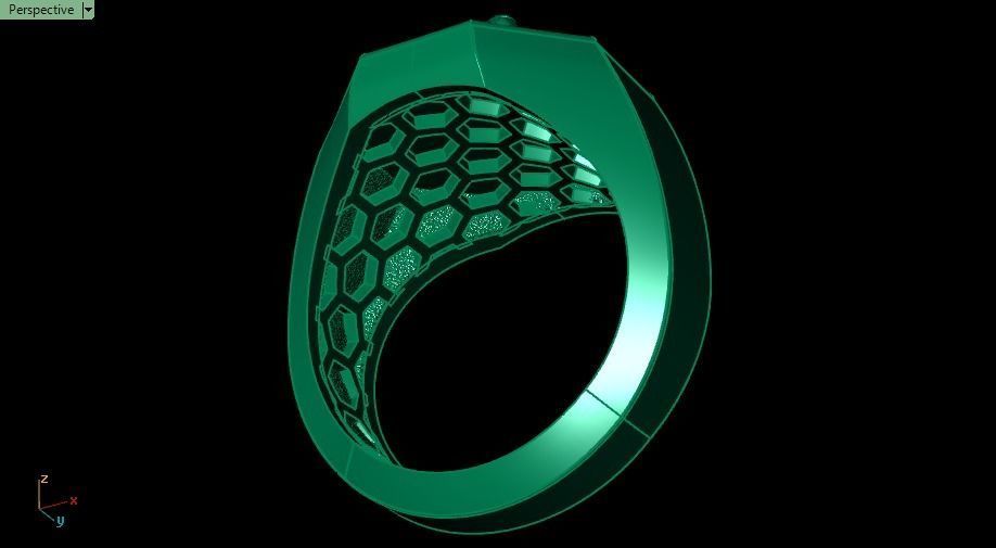 lion ring 3D print model_8